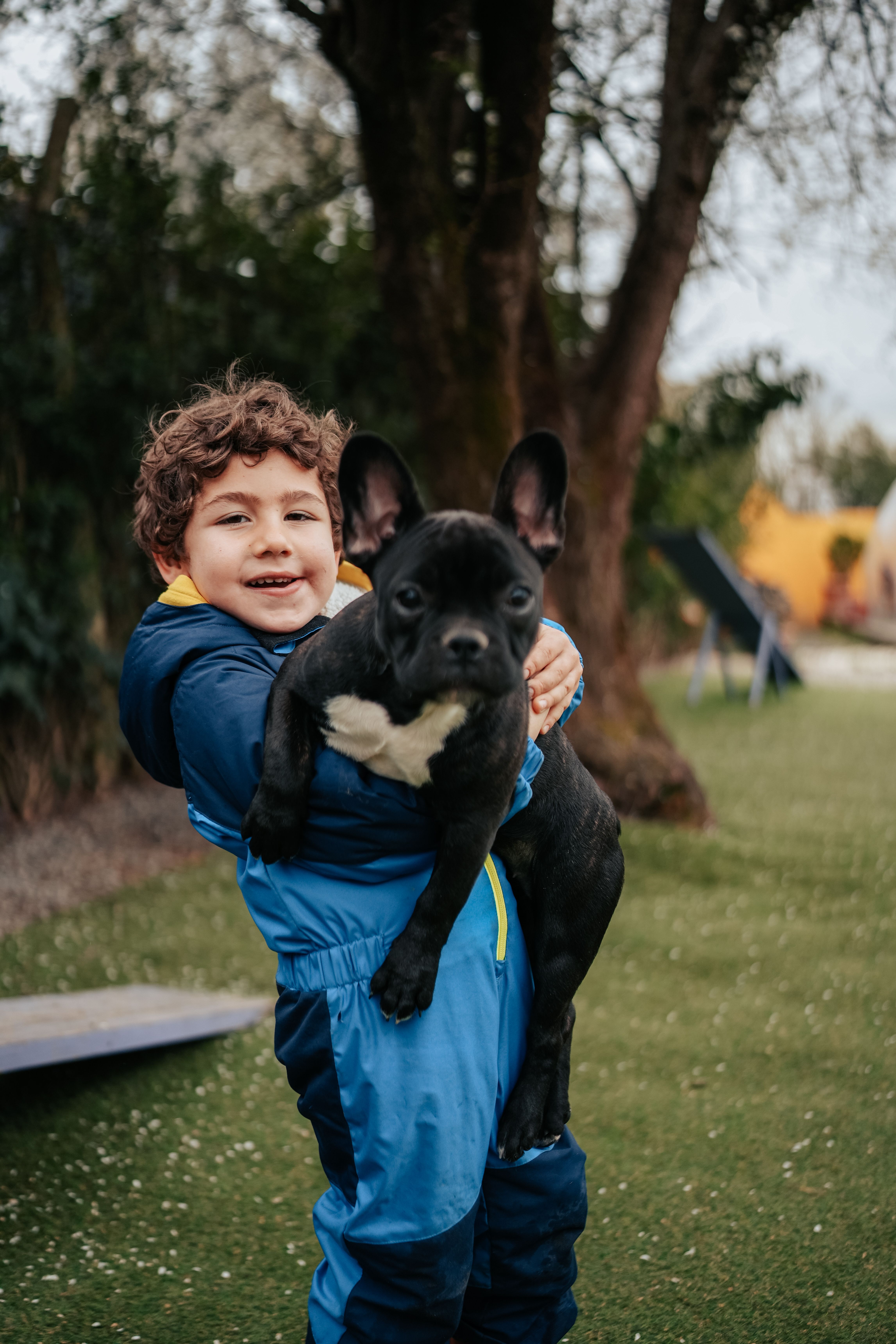 Chien reniflant l'herbe dans un parc